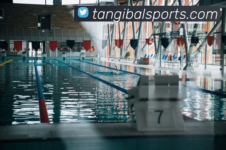 App Interface Preview