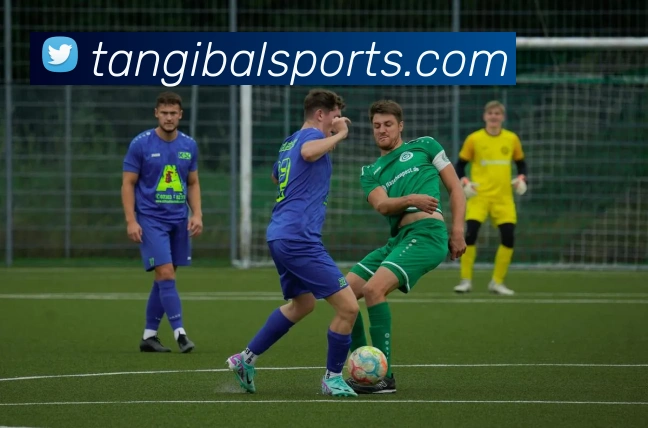 球赛投注APP 封面图