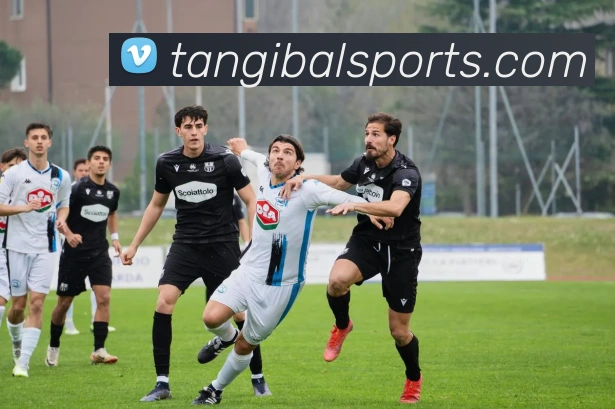 数据防护可视化